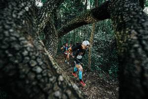 BIB: 
                            <button type="button" onclick="openModal(25391984)" class="btn btn-primary btn-sm float-right btn-popup" data-toggle="modal" data-target=".modal-high-quality">
                        <i class="fas fa-shopping-cart"></i> Add to Cart
                    </button>
                                            <button type="button" onclick="isThisMe(25391984, true)" class="btn btn-success btn-sm float-right btn-popup btn-isme hidden" data-toggle="tooltip" data-placement="bottom" title="นี่คือรูปของคุณใช่ไหม คลิกที่นี่เพื่อเอาเข้าอัลบั้ม">
                        <i class="fas fa-plus"></i> Add to album
                    </button>
                    <button type="button" onclick="isThisMe(25391984, false)" class="btn btn-warning btn-sm float-right btn-popup btn-isnotme hidden">
                        <i class="fas fa-ban"></i> Remove from album
                    </button>